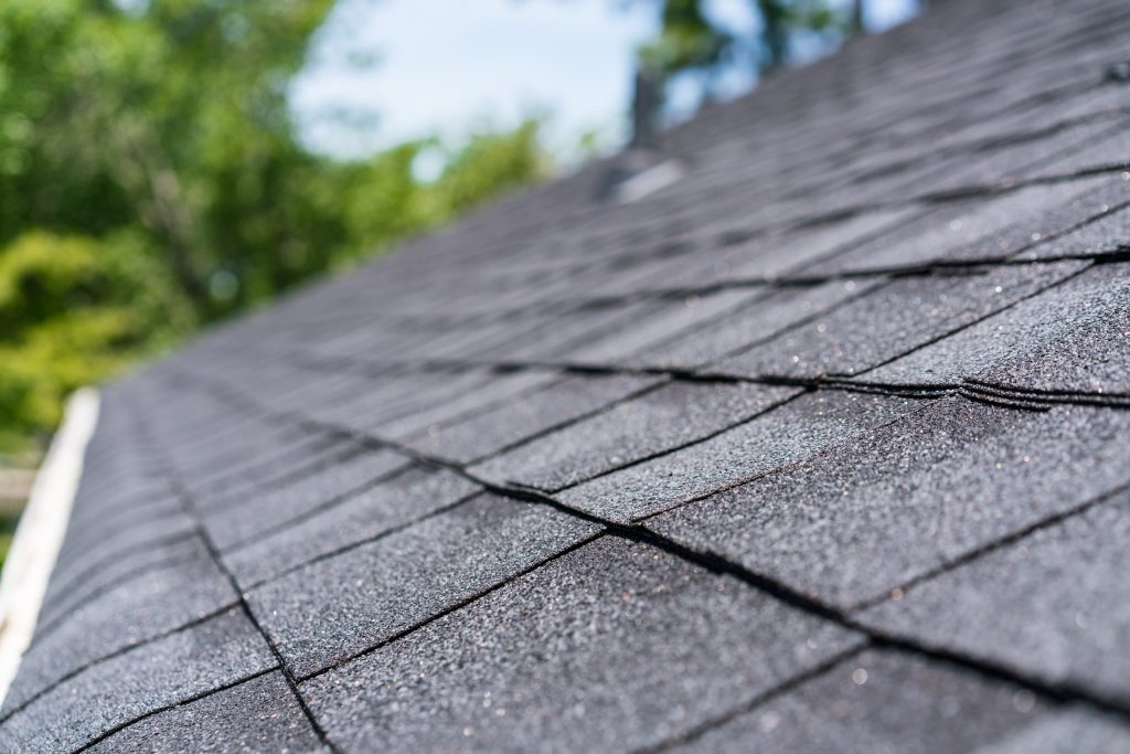 Valdosta Roofing Contractor Gutter & Shingle Roof Installation